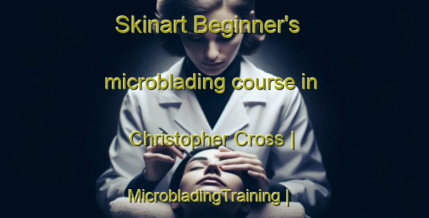 Skinart Beginner's microblading course in Christopher Cross | MicrobladingTraining | MicrobladingClasses | SkinartTraining-Canada